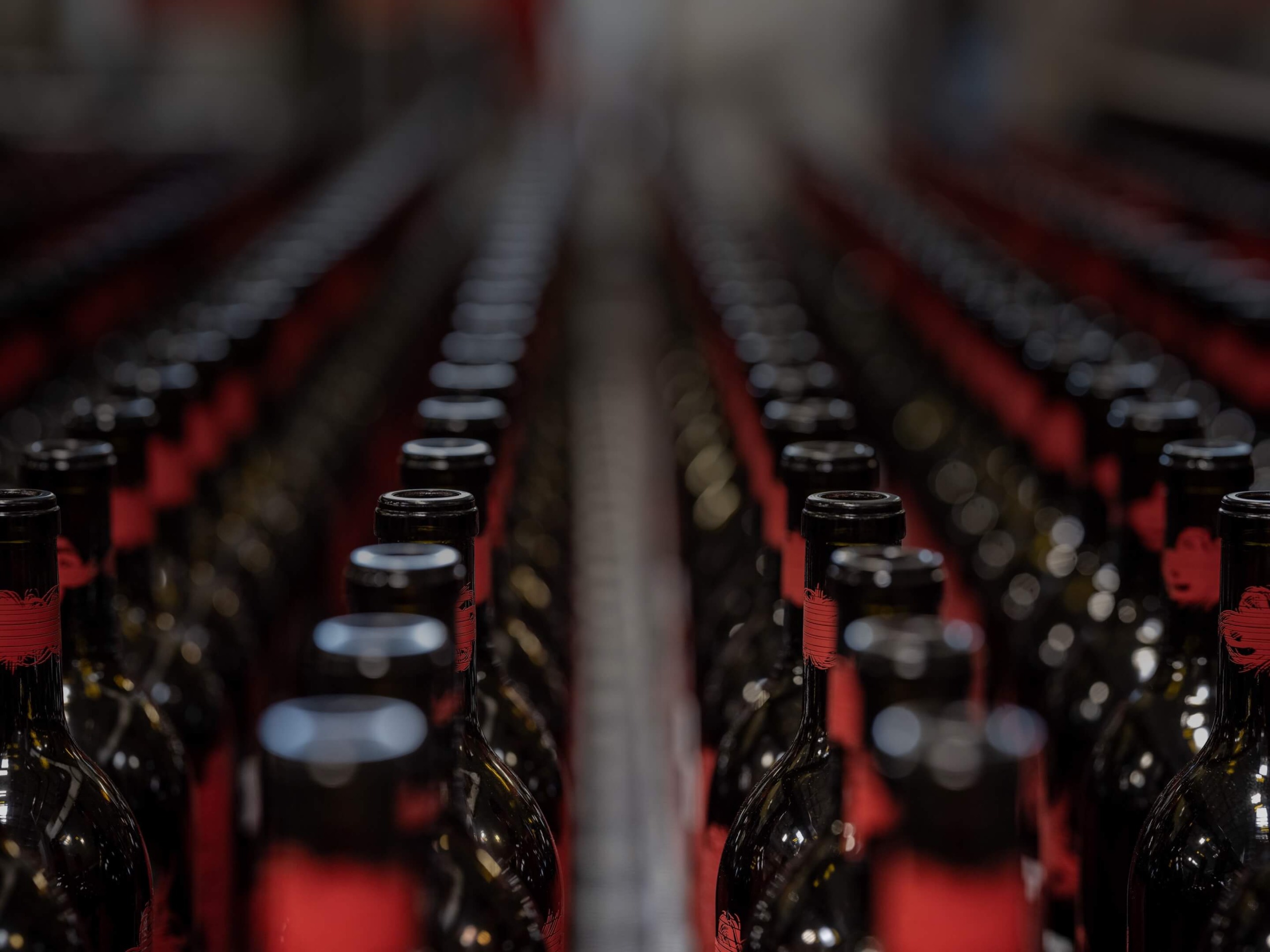 Premium Bottle Packaging Services for the Wine Industry