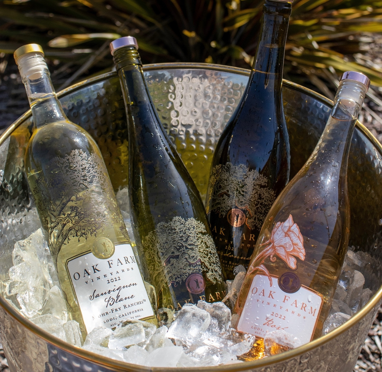 Oak Farm Vineyards wine labels