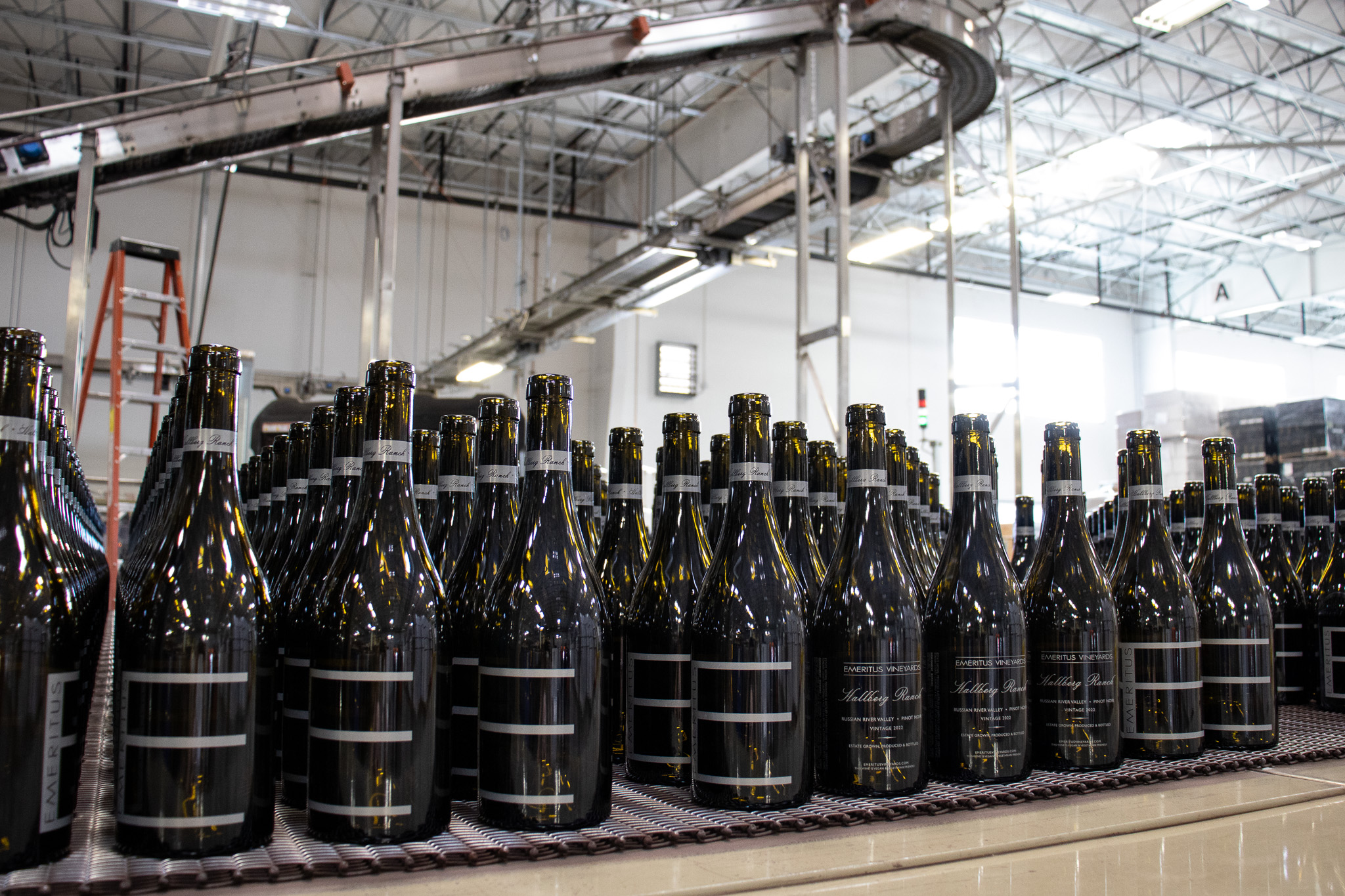 Sustainable Wine Packaging for Modern Brands