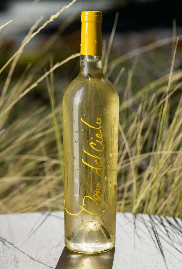 benefits of screen printing glass bottles 1 1